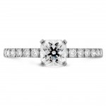 Destiny-Dream-Sol-D-3