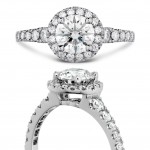 Transcend-Premier-Single-Halo-Rnd-Sol-C