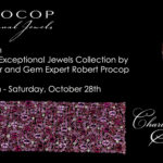 charles-schwartz-web-banner-2017