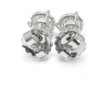 photo-dec-14-11-38-37-am