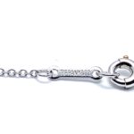 6080d78a-d880-4028-88b4-99f93cfff9ab