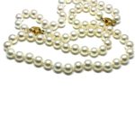 82dc5d05-e025-4ae1-b7f8-9a624fe9b9c0