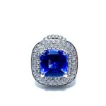 8d59c697-83f8-411d-aa5e-fc30322dbccb