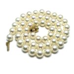 e4484445-9a57-41b0-b3eb-1bee6b547e25