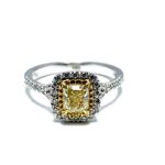 1924eef9-d626-4730-ad9f-f303b0e21cc4