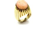 419213C7-F2E2-43E4-BF84-47281FDCFFA2