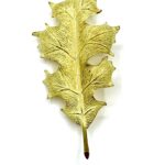 5ACDA1EF-02B3-4949-84BA-283A2796C80E