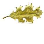 7DC3F44E-17E6-4DE5-B3FE-6ACB48596B9C