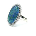 8042C3C1-40A6-48BD-95A2-78C9D1CE62BC